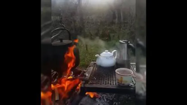 یه عصر خوب☕⁦👌🏼⁩