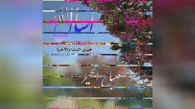 سلام مایه سلامتیست