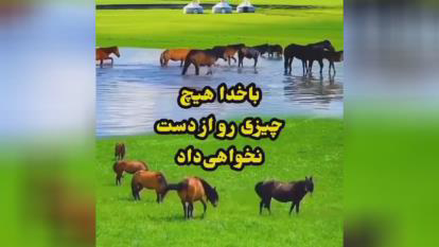 باخدا حرف بزن