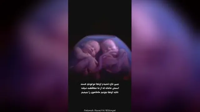 جنین