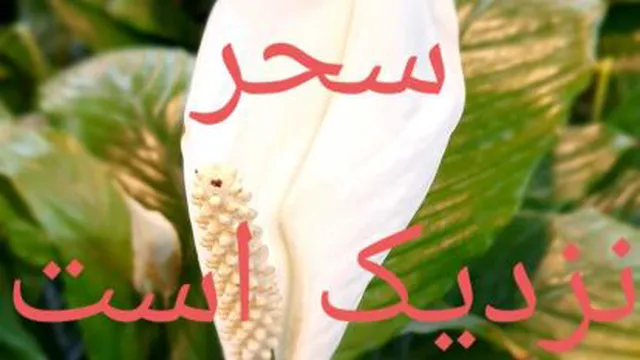 دنیای موزیک