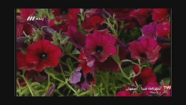 استاد احمد نباتی