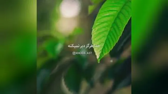 صبور باش