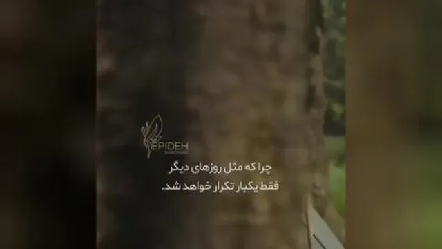 در حسرت گذشته نباش