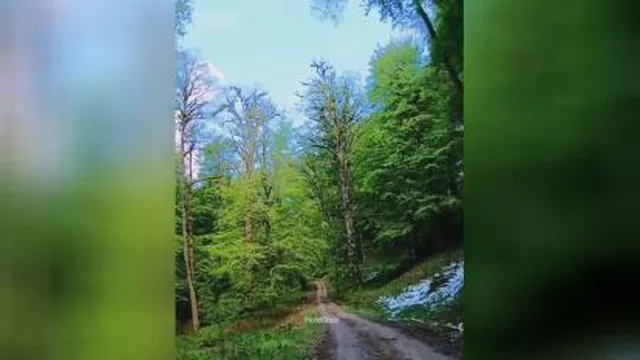 طبیعت...