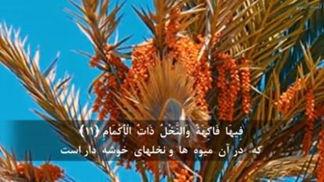 زیبا ترین تلاوت سورة الرحمن در تمام جهان