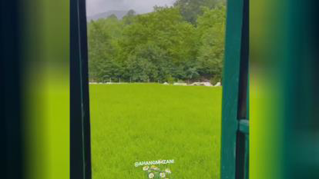 آهنگ زیبا