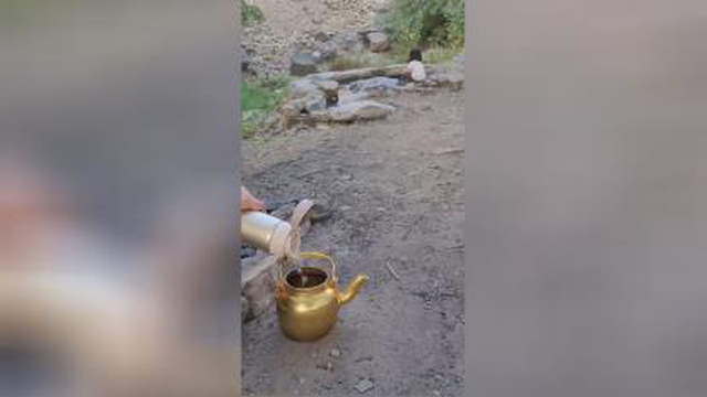 چای ایرانی