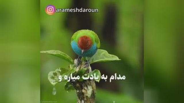 چه زیبا لحظه لحظه عمر مان