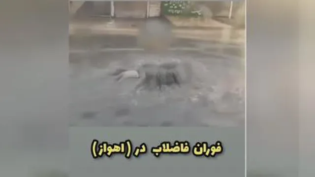 شنیدن کی بود مانند دیدن