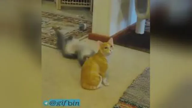 جلب توجه