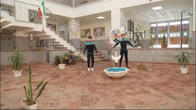 نرمش صبحگاهی