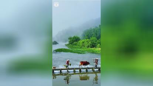 طبیعت بکر و زیبا