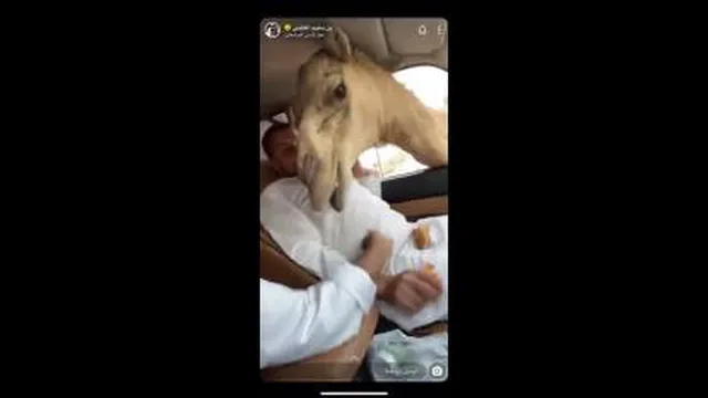 یک دقیقه فقد بخند😂😂