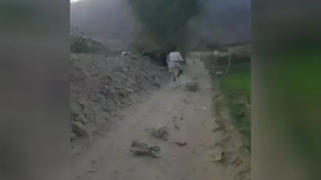 برعکس نشسته برالاغ