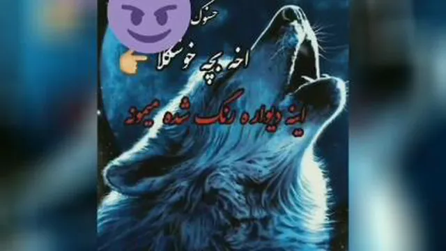 بدون عنوان