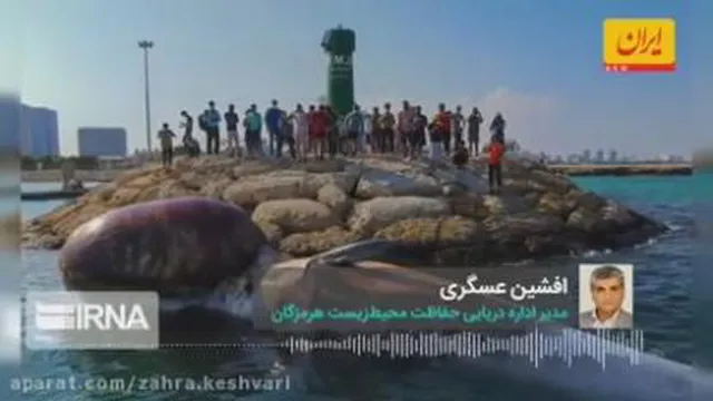 بدون عنوان