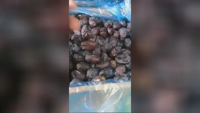 خرید خرما در شیراز