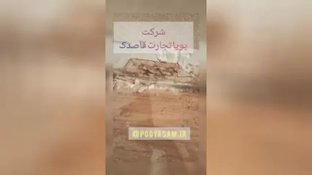 از بین بردن موریانه در شیراز
