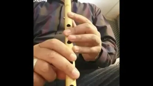 زرد ملیجه