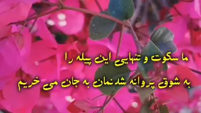 بهار روزهای خوب
