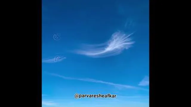 شکر گزاری نعمت بسیار خوب
