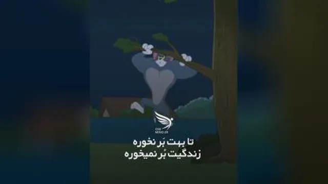 پیروزی تام