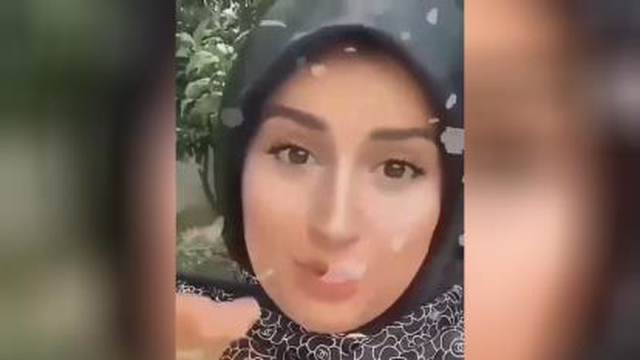 پیرمرد و الاغ