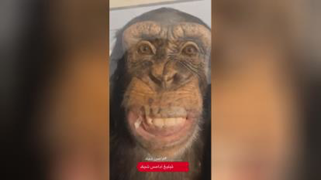ههههه ببین خیلی عالیه ههههههه