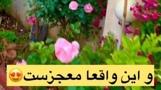 دعای معجزه گر البته آیه قرآنه
