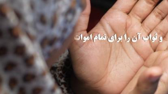استاد عالی