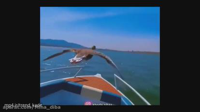 مذهبی