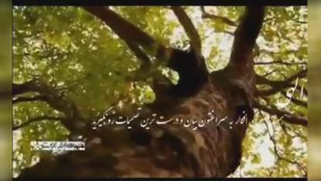 ویدئو انگیزشی