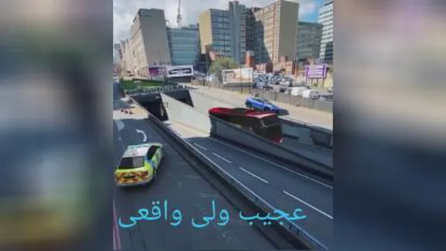 عجیب اما واقعی