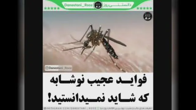 دانستنی روز
