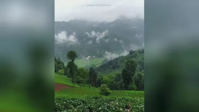 • هوای بارونی و حسِ خوبش ❤️🌿