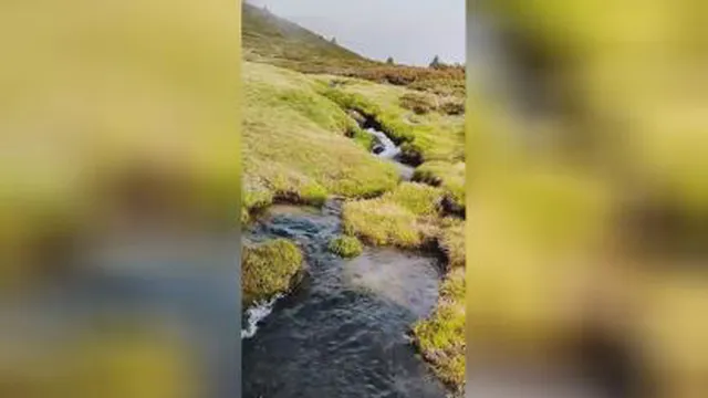 • موسیقی طبیعت 🎼🍀🌿 آرامش