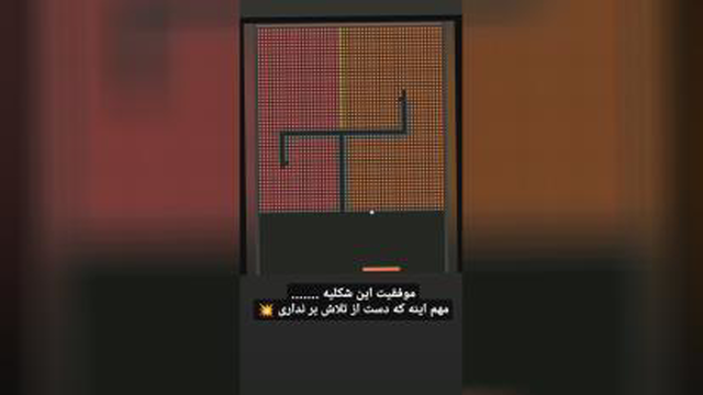 موفقیت این شکلیه