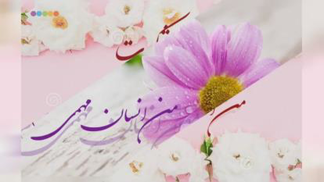 شکرگزاری