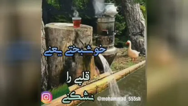 کلیپ روز
