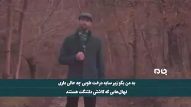 موزیک‌ویدئو تو می‌درخشی از خواننده ایرانی ساکن لندن در وصف حاج قاسم