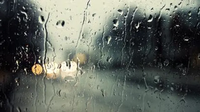 نان سبزیجات