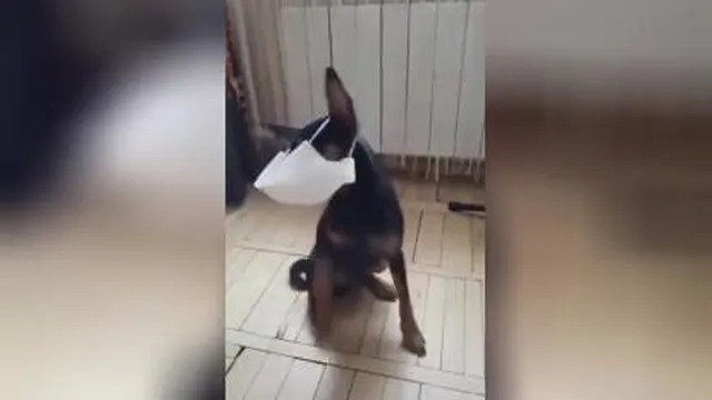 طنز😀😀😀
