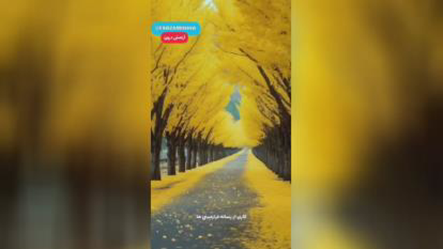 دکلمه زیبایی زنده یاد #خسرو_شکیبایی #فروغ_فرخزاد #حقایق A living beauty quote
