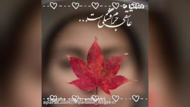 کلیپ عاشقانه ی زیبا و دلنشین اهنگ مخصوص وضعیت واتساپ