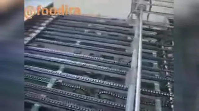 فقط نگاه کنید