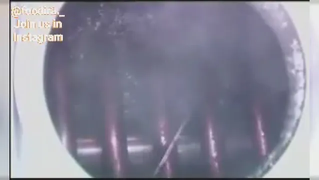 فقط نگاه کنید