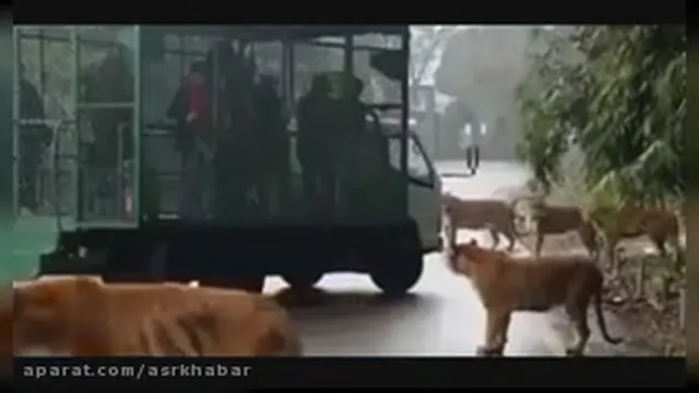 قَفَسِ آدَماْ😂😅