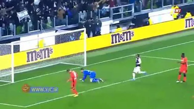 گل های برتر