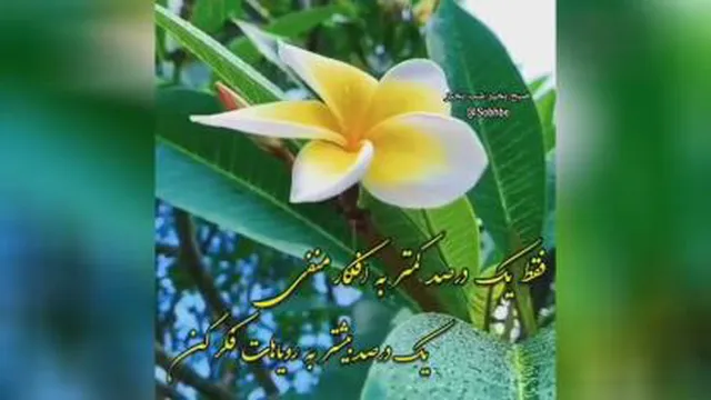 به خودت قول بده که